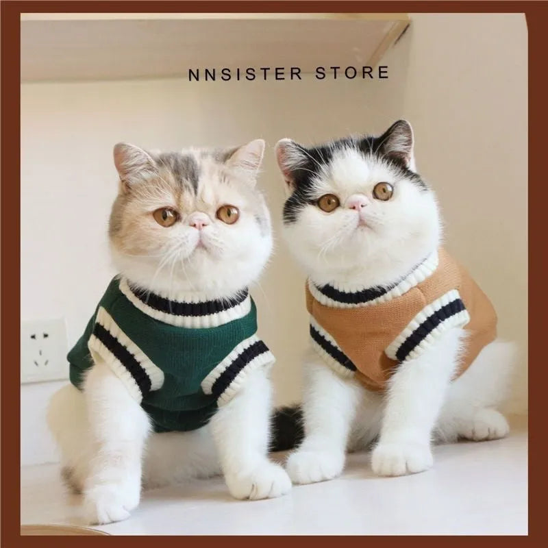 Cat wearing winter jumper with silver gradual collar in college style design