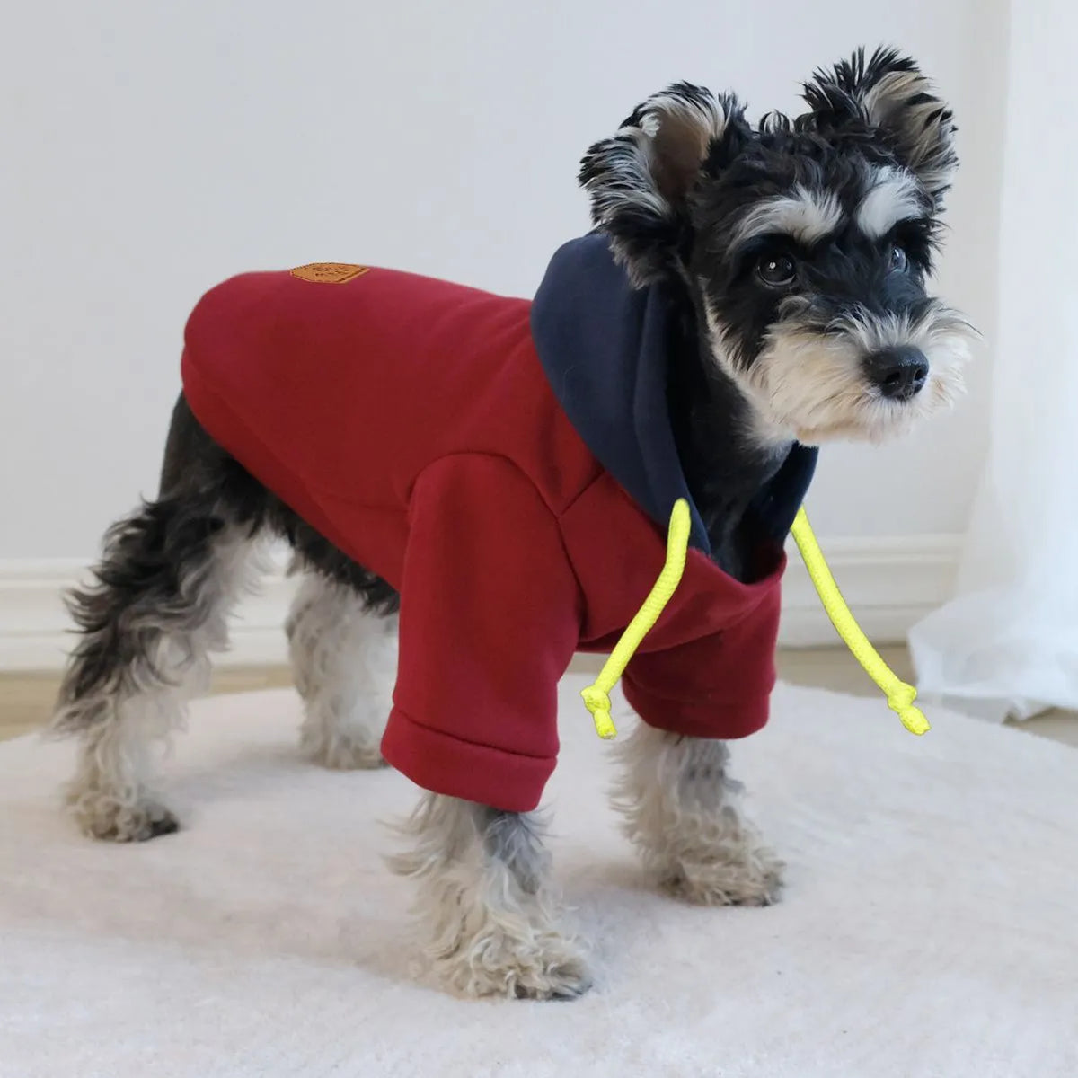 British style hooded pullover for pets with contrasting colour panels in polyester fabric