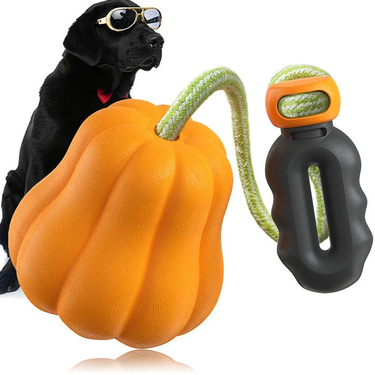 Orange pumpkin-shaped plastic dog toy with attached rope for throwing