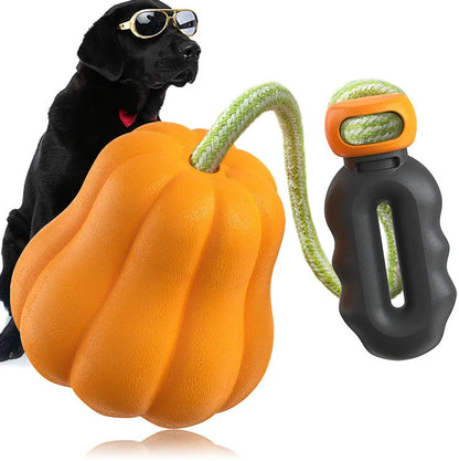 Orange pumpkin-shaped plastic dog toy with attached rope for throwing