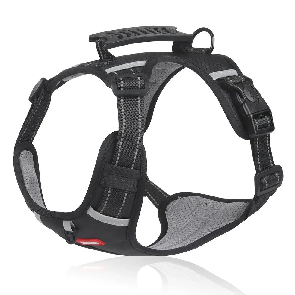 Reflective pet chest strap in multiple colours with adjustable sizing for dog walking safety