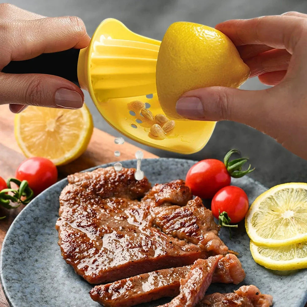 Manual citrus juicer with 21.5cm height, PP construction, and ABS handle in silver finish