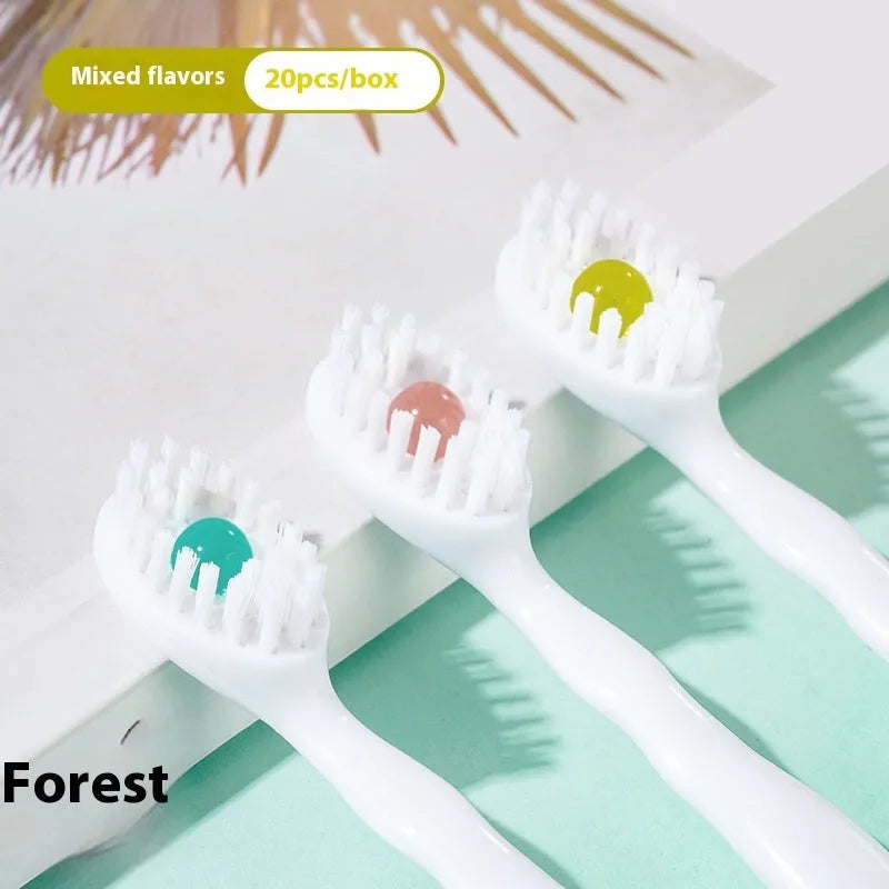 Box of disposable bead toothbrushes in mint, peach, plum green tea, and mixed flavours for travel.