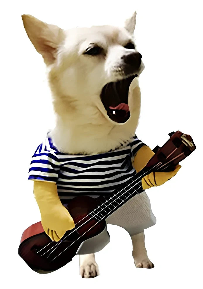 Pet wearing cartoon cowboy costume with knight-style design and matching hat, showing multiple colour options