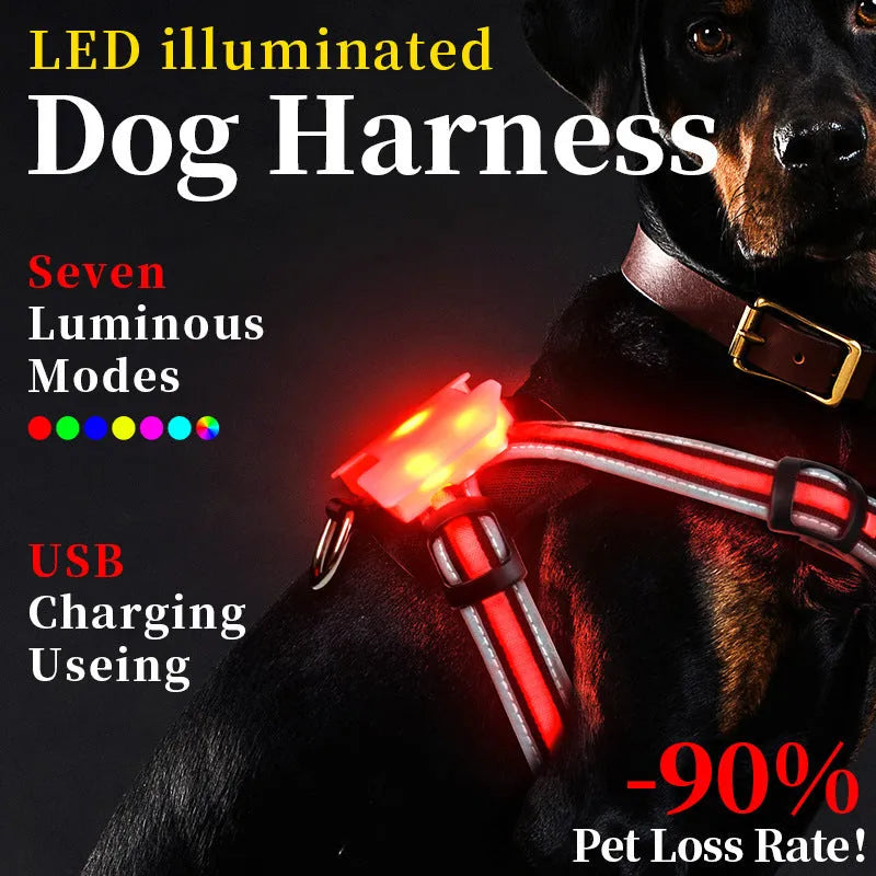 Nylon luminous dog leash with seven-colour LED strap and USB charging cable