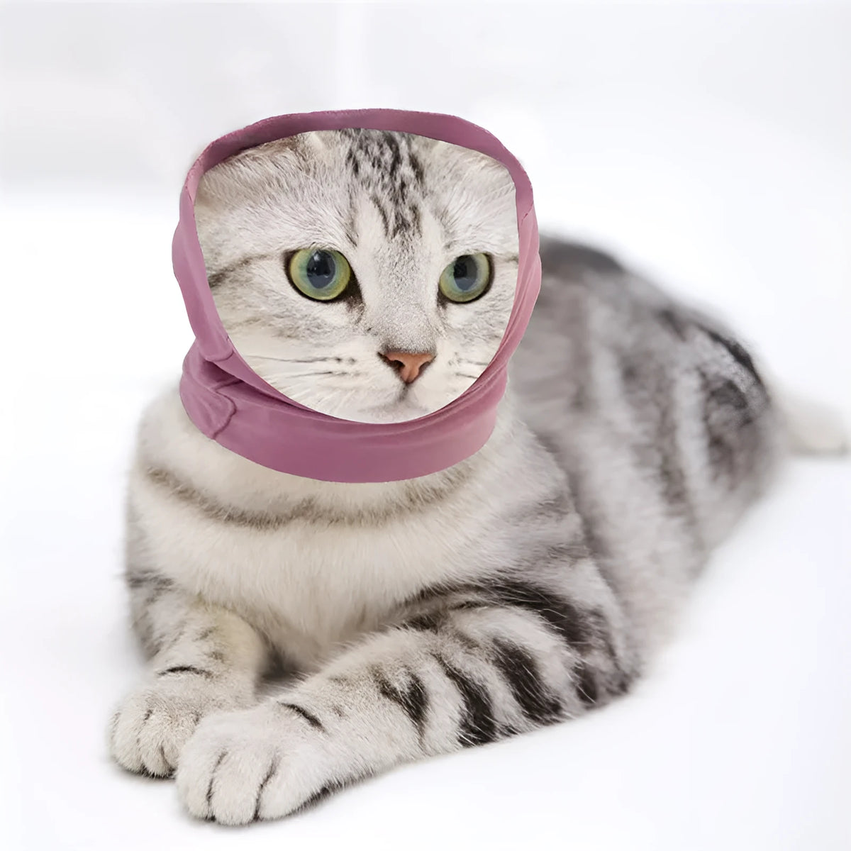 Dog grooming anti-noise earmuffs in pink, black, or purple, cationic spandex fabric, sizes L 25x20cm, M 20x15cm, S 17x12cm