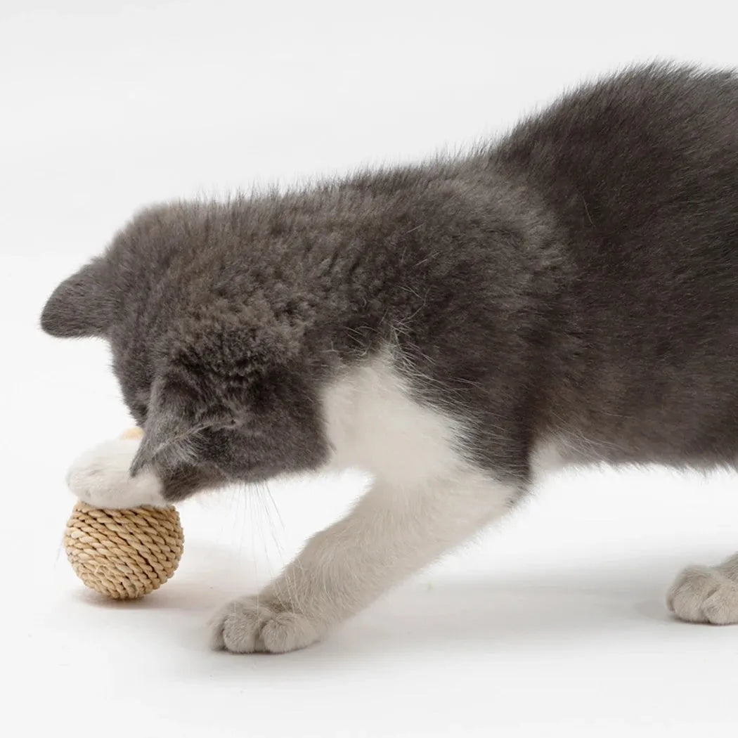 Two-piece cat toy set showing rattan ball and faux feather ball for interactive pet play
