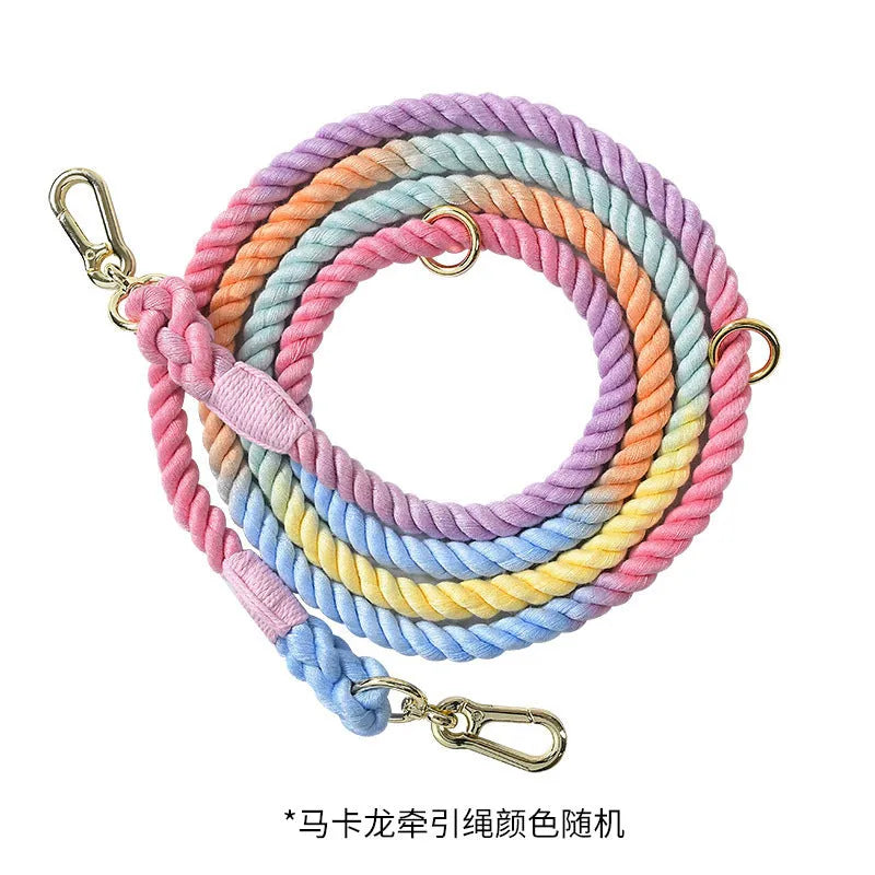 Woven rainbow pattern dog leash with double grip handles and a metal clasp.