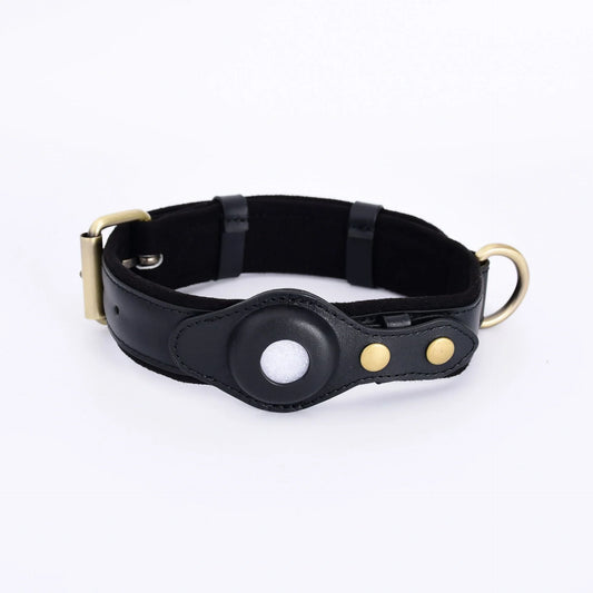 GPS tracker dog collar with AirTag holder in black, brown, blue, and pink colors