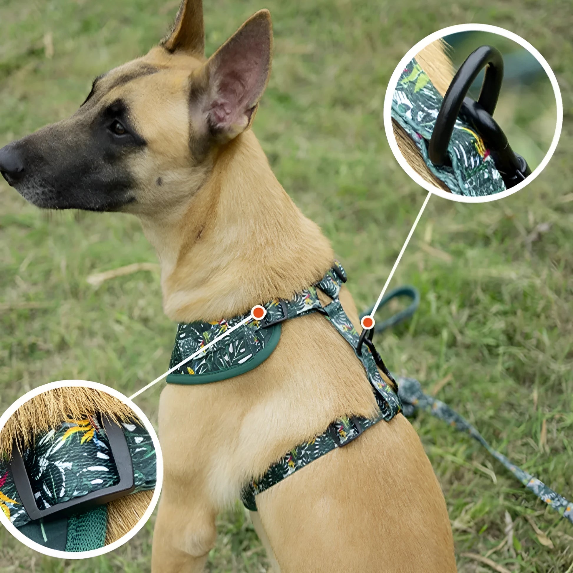 Six-piece adjustable cloth pet harness set with 1.5m haulage rope, collar, pick-up bag, bow tie, and triangular scarf