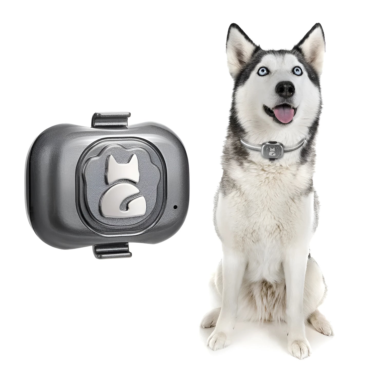 Black GF-07 pet GPS locator device with hanging rope on a collar.