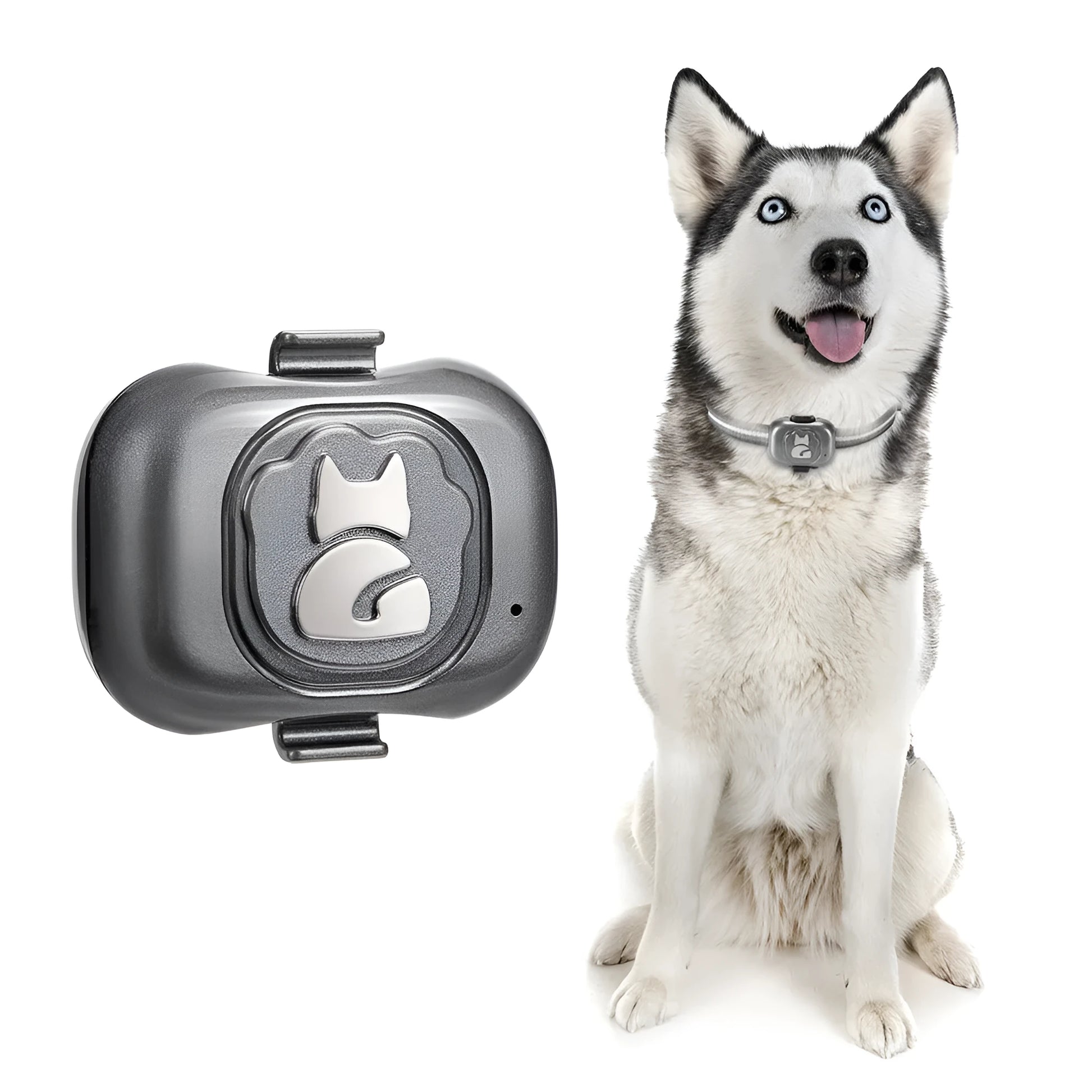 Black GF-07 pet GPS locator device with hanging rope on a collar.