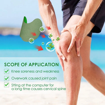 Argy Wormwood Knee Plaster for natural joint pain relief with self-heating feature