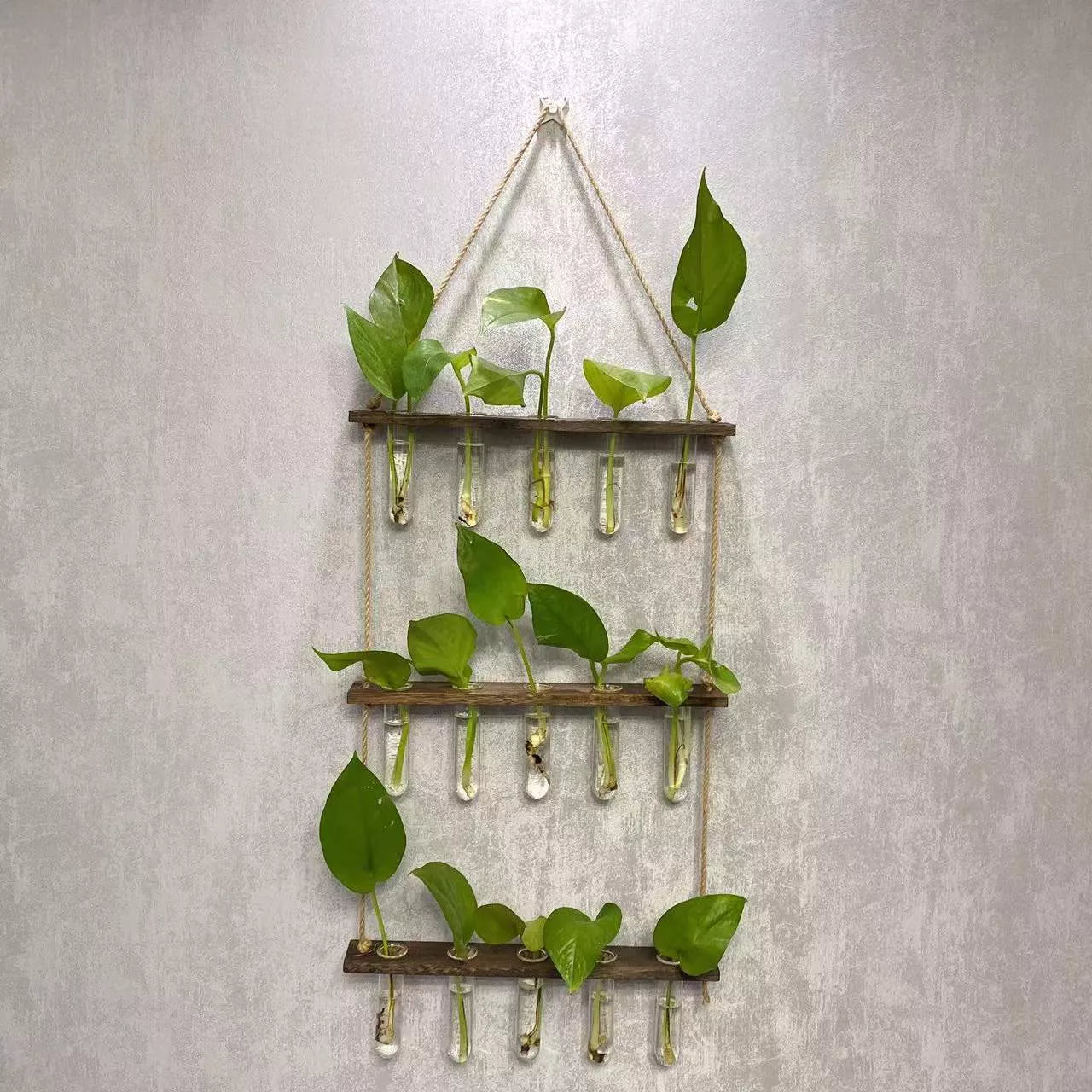 Creative Hydroponics Wall Hanging Vase with test tubes for vertical gardening