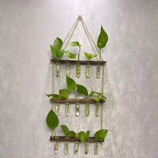 Creative Hydroponics Wall Hanging Vase with test tubes for vertical gardening