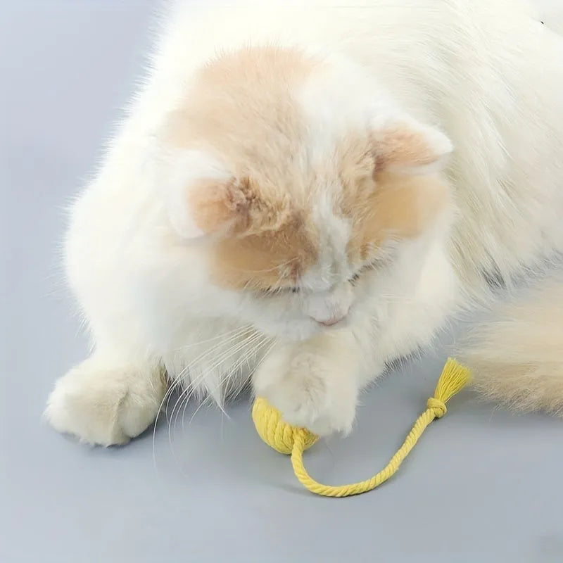 Interactive cat toy ball with bell and rope in green, pink, purple or yellow colours, shown in 3cm and 6cm sizes