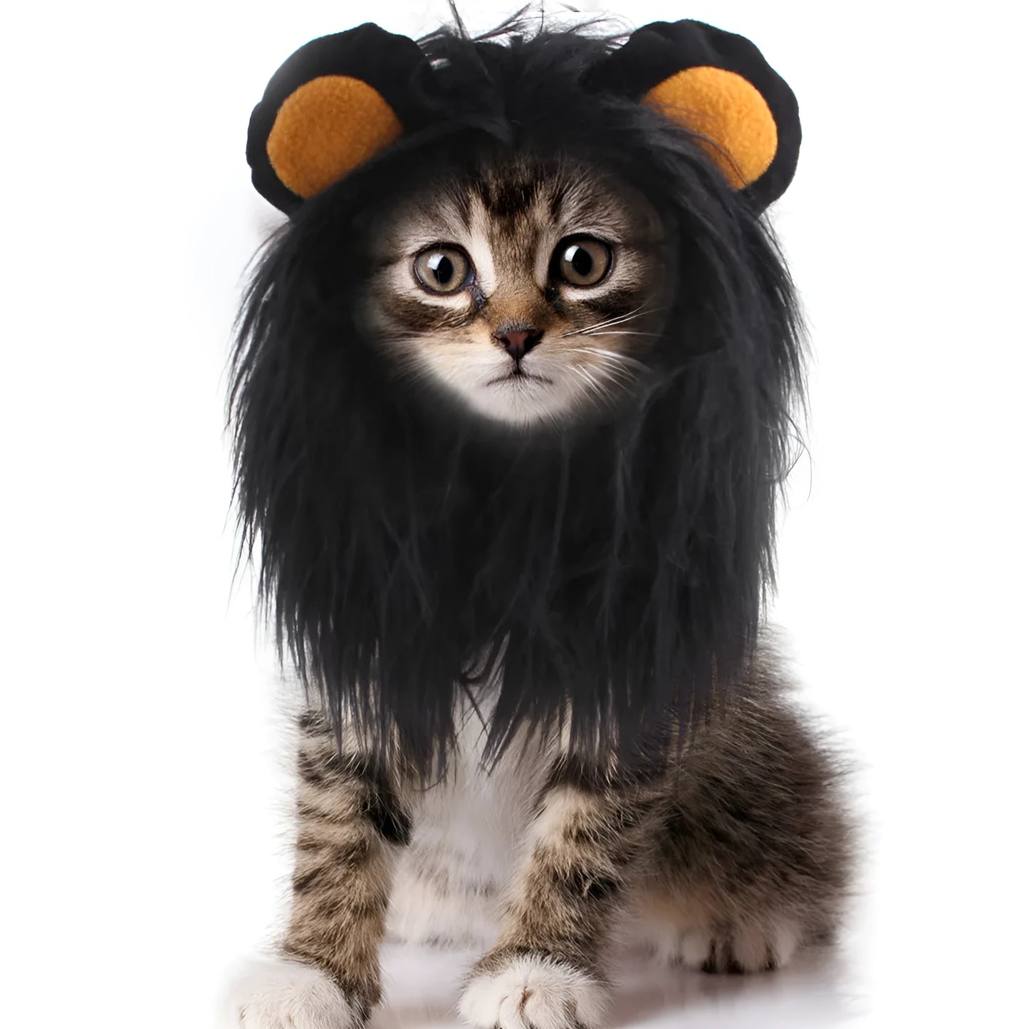 Black lion headgear wig hat costume accessory fitting on cat's head