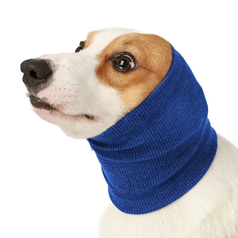 A blue polyester headband scarf for a dog, shown on a medium-sized breed.