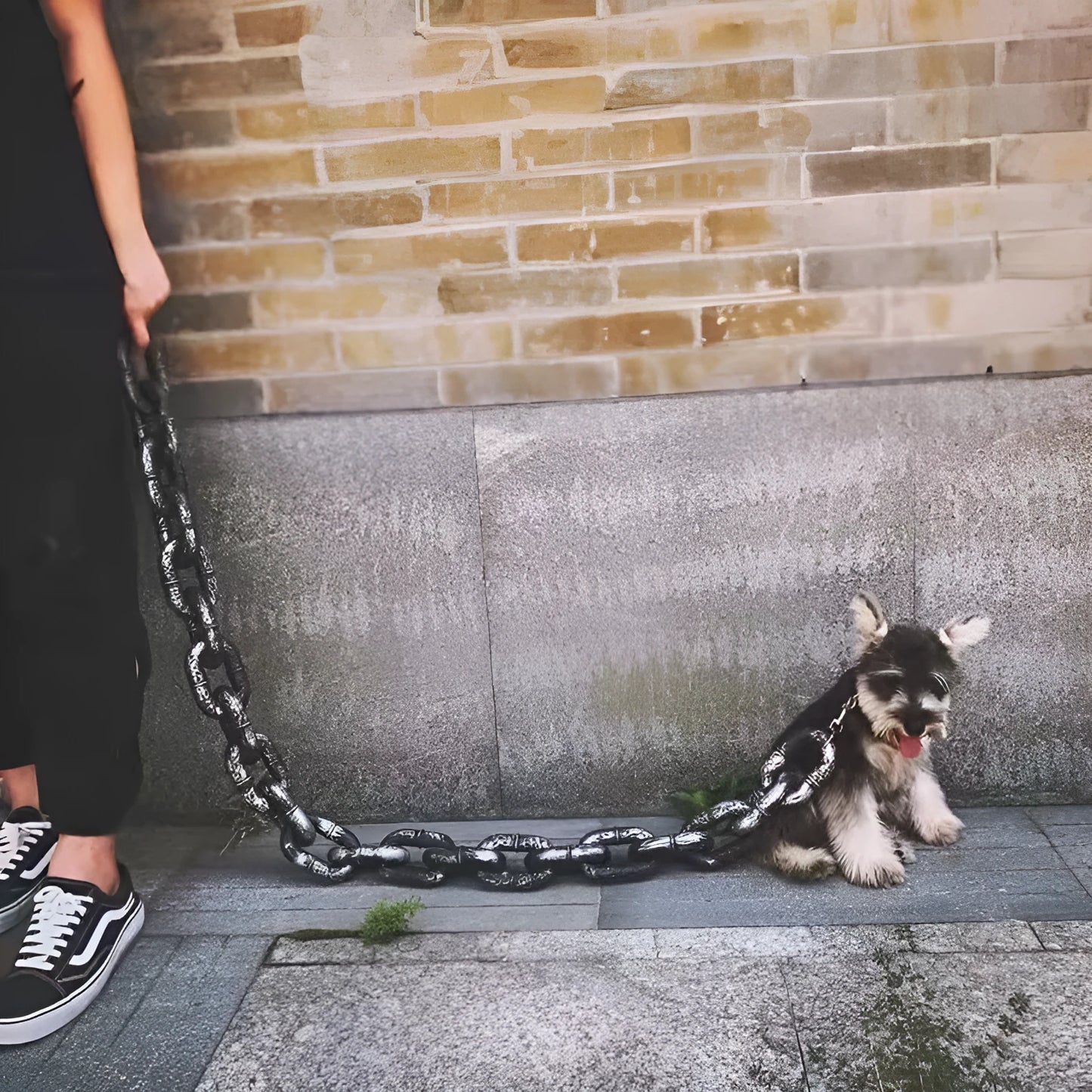 Dog leash simulation prop in antique silver, bronze, or black colour with PP material and length options for video spoofs
