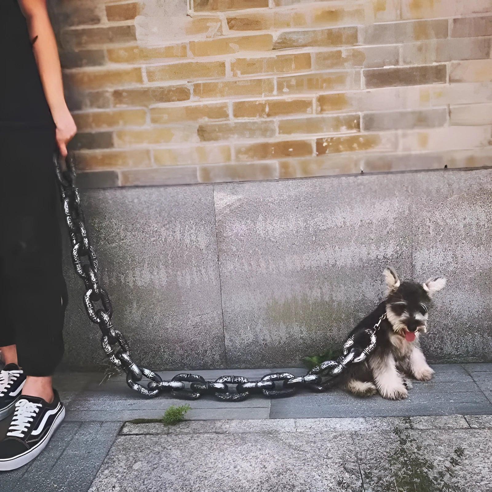 Dog leash simulation prop in antique silver, bronze, or black colour with PP material and length options for video spoofs