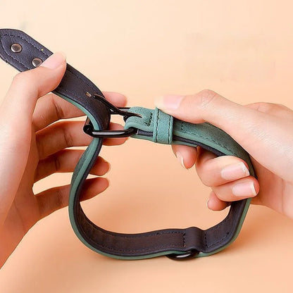 Adjustable anti-loss dog collar showing double-layer thickening construction in multiple colour options