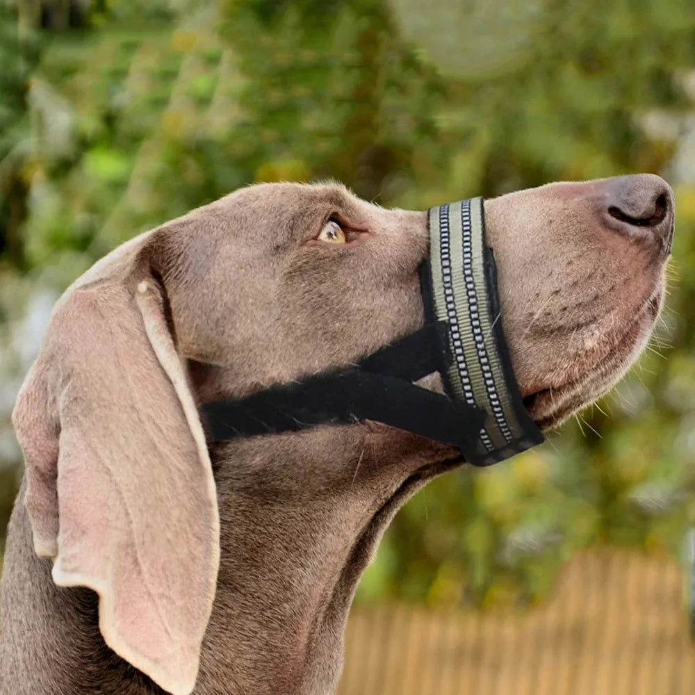 Adjustable black basket dog muzzle with reflective strips on a medium-sized dog