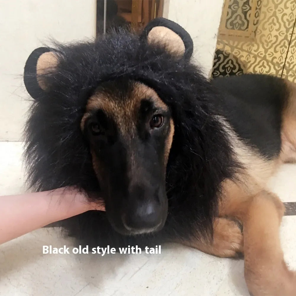 Dog wearing adjustable lion headdress costume with elastic neckband in light brown colour