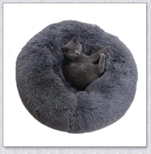 Round & Raised Cat Marshmallow Bed with Raised Rim Design for Relaxation and Comfort