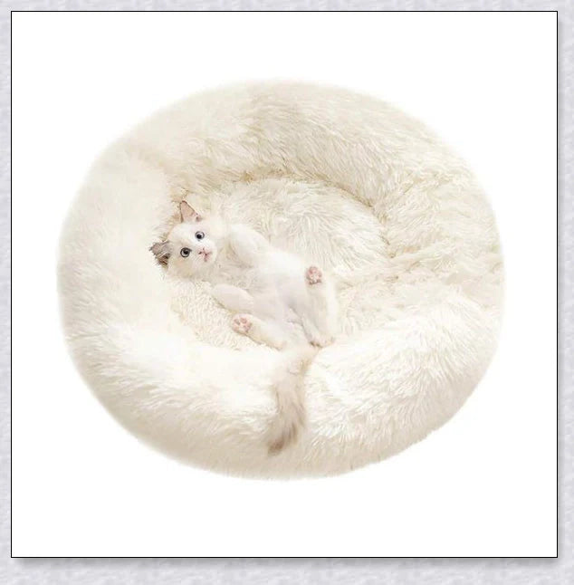 Round & Raised Cat Marshmallow Bed with Raised Rim Design for Relaxation and Comfort