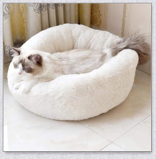 Round & Raised Cat Marshmallow Bed with Raised Rim Design for Relaxation and Comfort