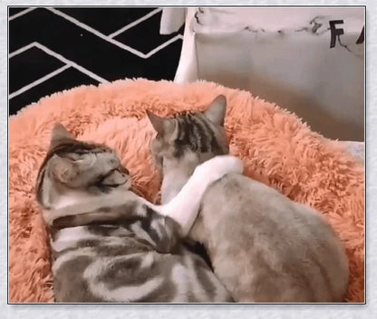 Round & Raised Cat Marshmallow Bed with Raised Rim Design for Relaxation and Comfort
