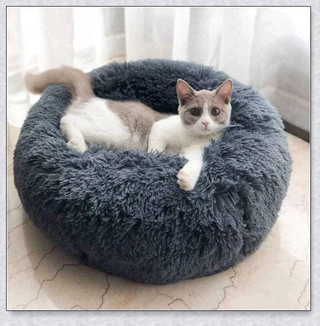 Round & Raised Cat Marshmallow Bed with Raised Rim Design for Relaxation and Comfort