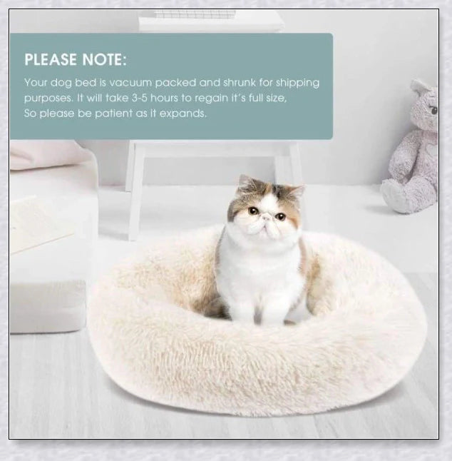 Round & Raised Cat Marshmallow Bed with Raised Rim Design for Relaxation and Comfort