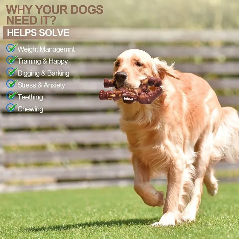Scarlet nylon dog molar chewing toy with beef flavour, shown alongside dimensions