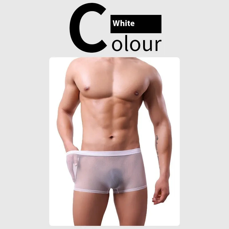 Men's thin sheer mesh boxer briefs in multiple colours on a white background.