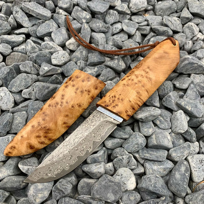 Outdoor Damascus steel short knife with Thuja wood handle showing 18cm length