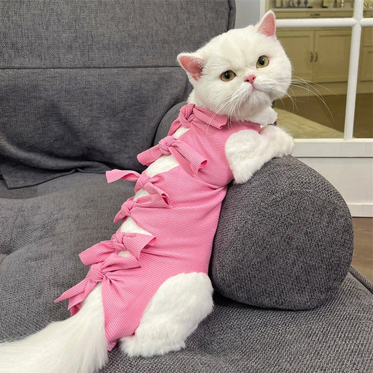 Lace-up cat sterilisation clothing in blue colour on cat showing adjustable back fastening and full-body coverage
