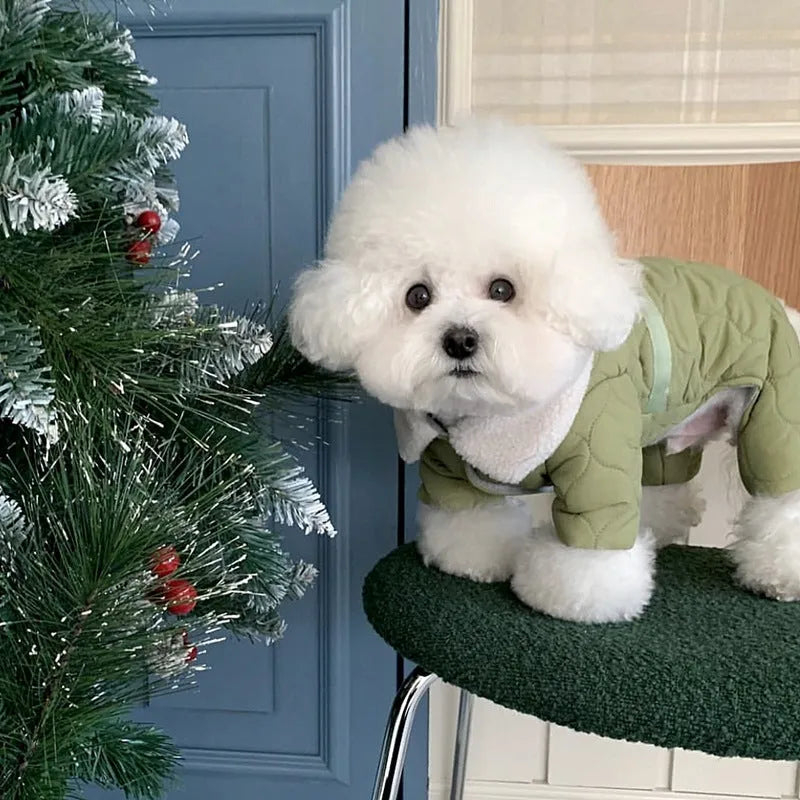 Dog four-legged cotton-padded clothes in small green fish or small white fish, sizes XS to XL
