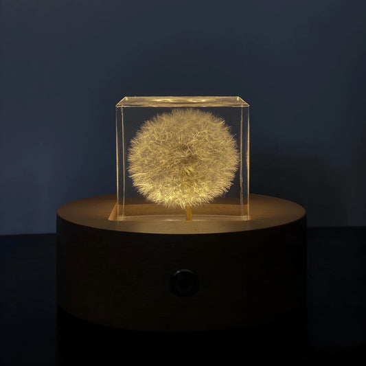 Clear 5cm resin cube with preserved dandelion flower inside, displayed with wooden box and USB charging base