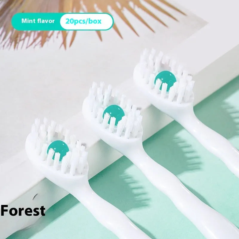 Box of disposable bead toothbrushes in mint, peach, plum green tea, and mixed flavours for travel.
