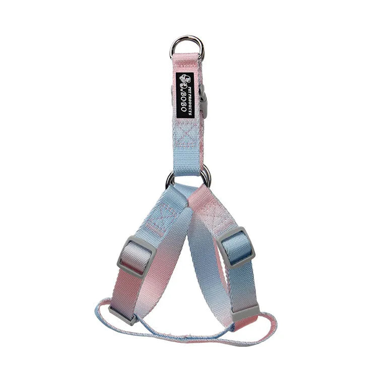 Gradient colour nylon dog leash showing pink-blue colour transition with metal attachment clip