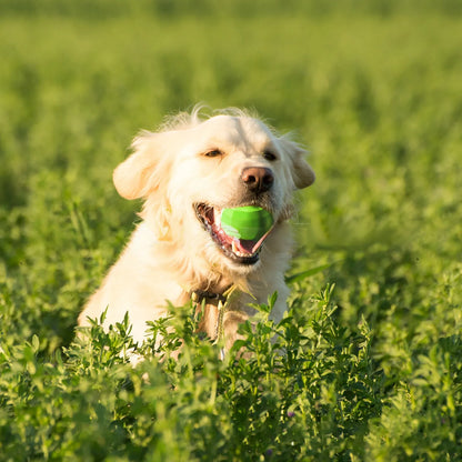 Green natural rubber dog squeaky toy measuring 90x86x80mm for aggressive chewers
