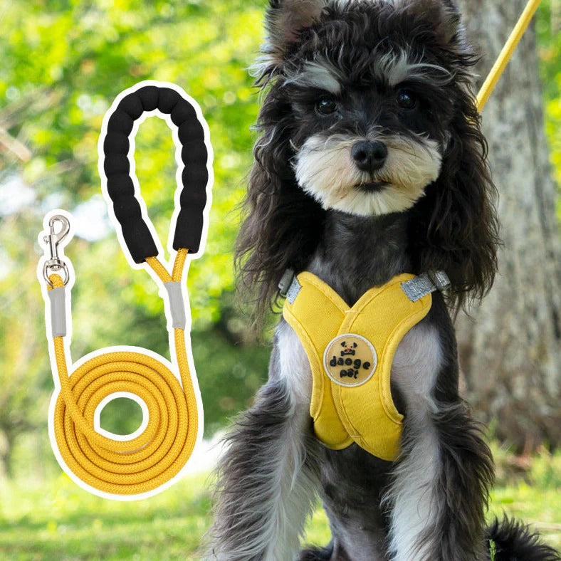 Adjustable pet vest with hand holding rope in blue, green, pink, or yellow colours