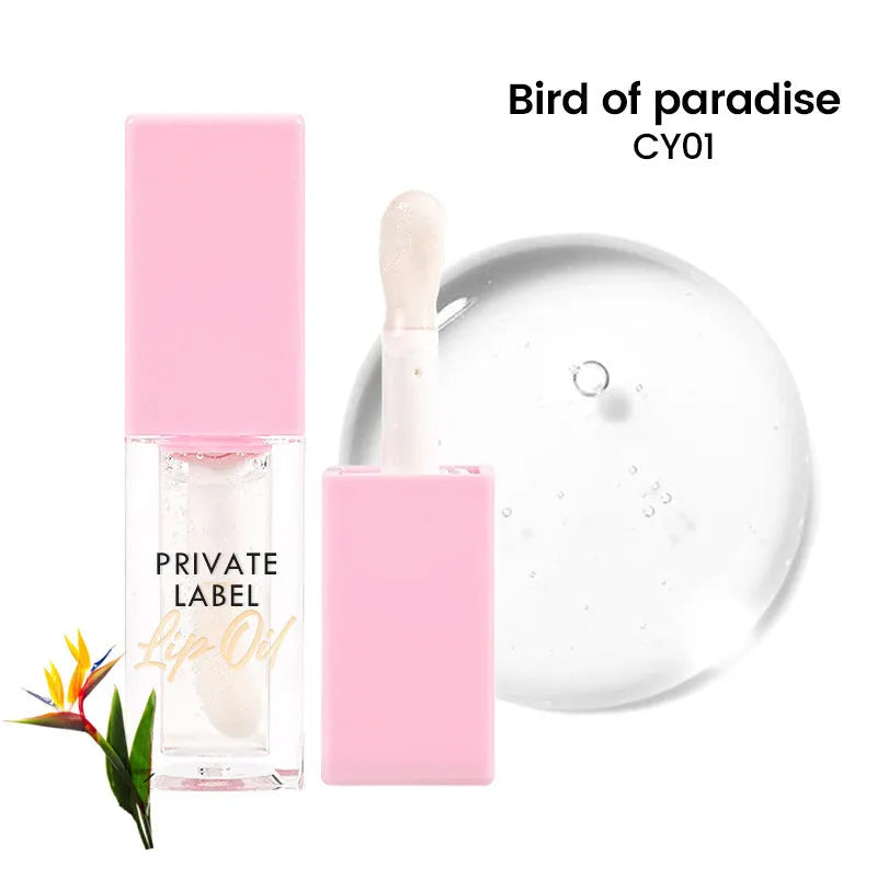 Women's simple natural transparent lip gloss tube with 6ml net content in fruity shades