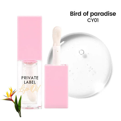 Women's simple natural transparent lip gloss tube with 6ml net content in fruity shades