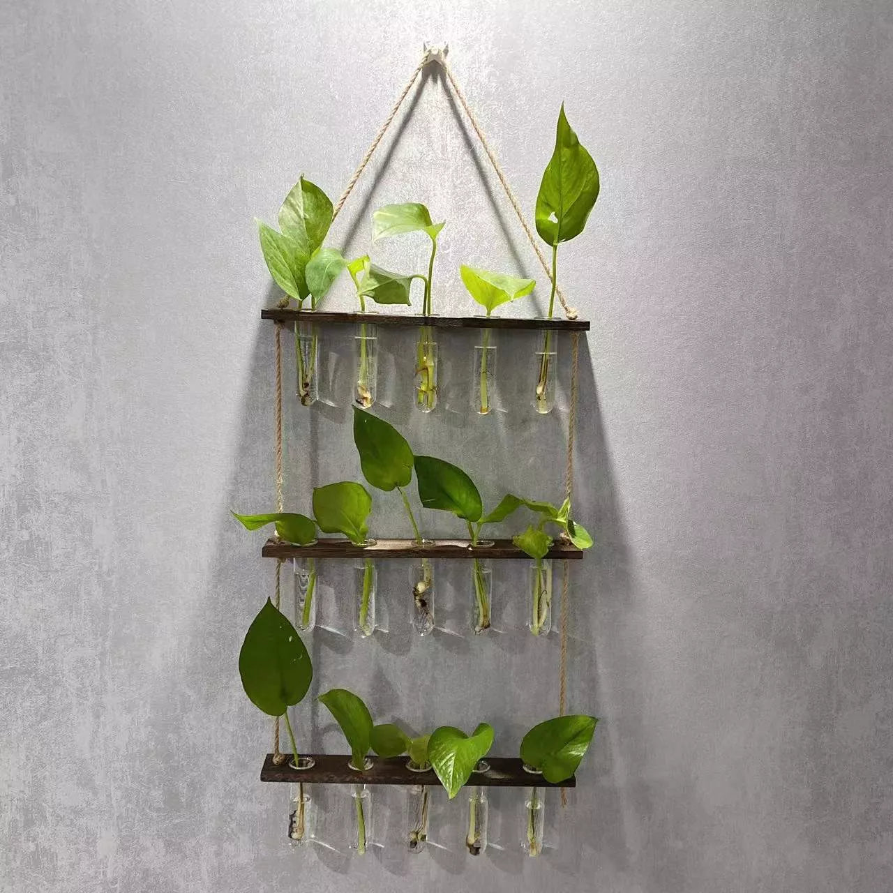 Creative Hydroponics Wall Hanging Vase with test tubes for vertical gardening