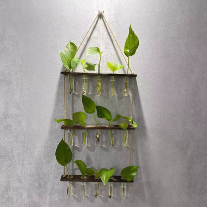 Creative Hydroponics Wall Hanging Vase with test tubes for vertical gardening