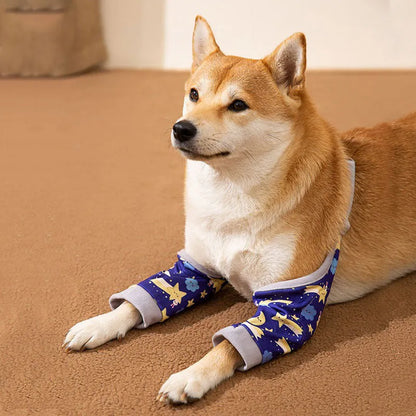 Blue dog knee protector sleeve with elbow padding and scarf on a medium-sized dog