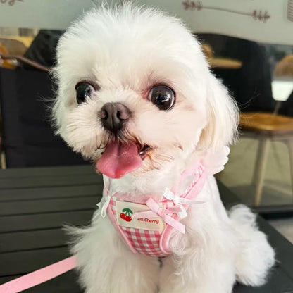 Small dog wearing adjustable cotton harness in pink with chest-back design and hand holding rope attachment