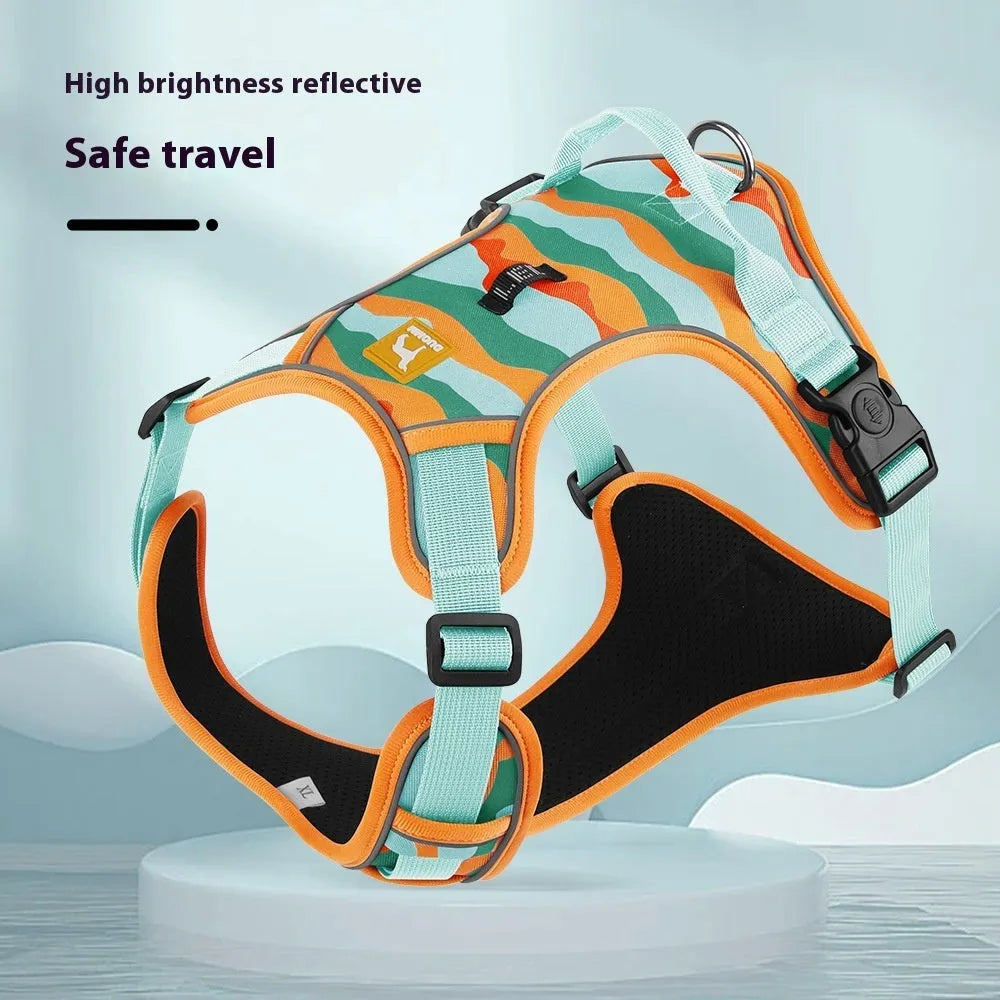 Orange dog harness with reflective strips and hand holding rope on a grassy background